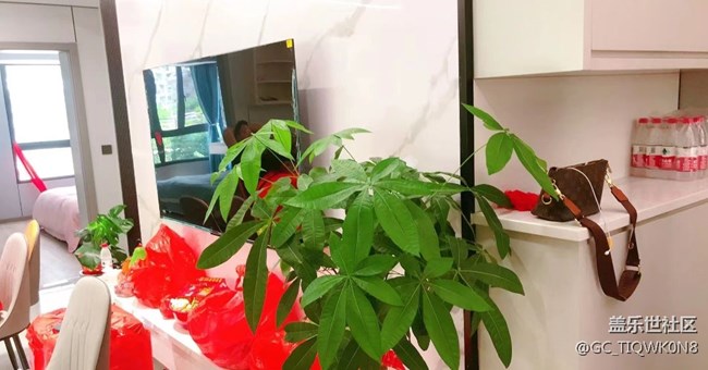 #夏日美食——搬家酒