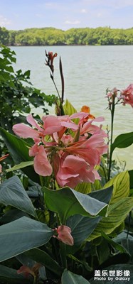【把快樂(lè)塞進(jìn)相冊(cè)里】+夏日好時(shí)光