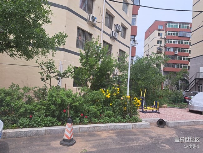 【陽光照耀的地方】綠意盎然