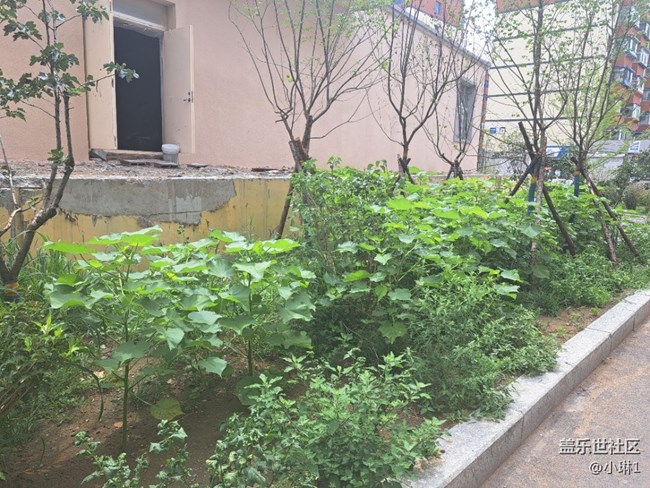 【陽光照耀的地方】綠意盎然
