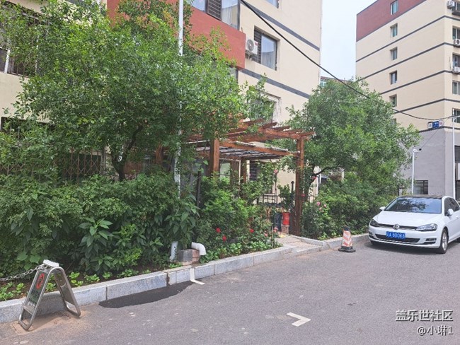 【陽光照耀的地方】綠意盎然