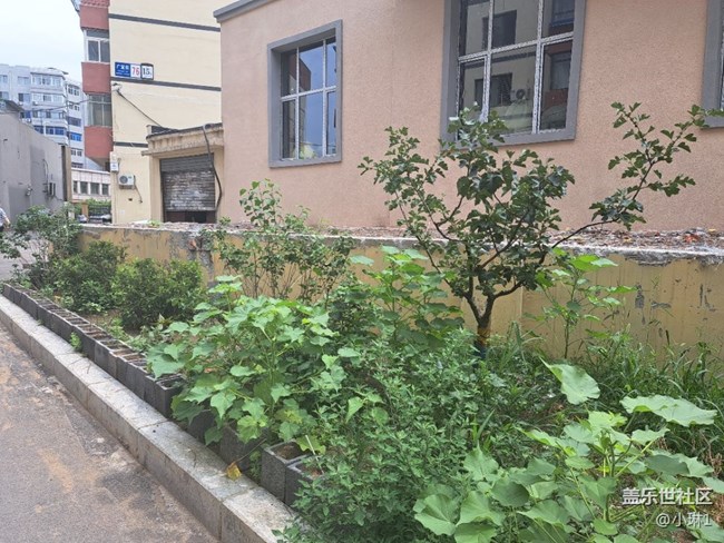 【陽光照耀的地方】綠意盎然
