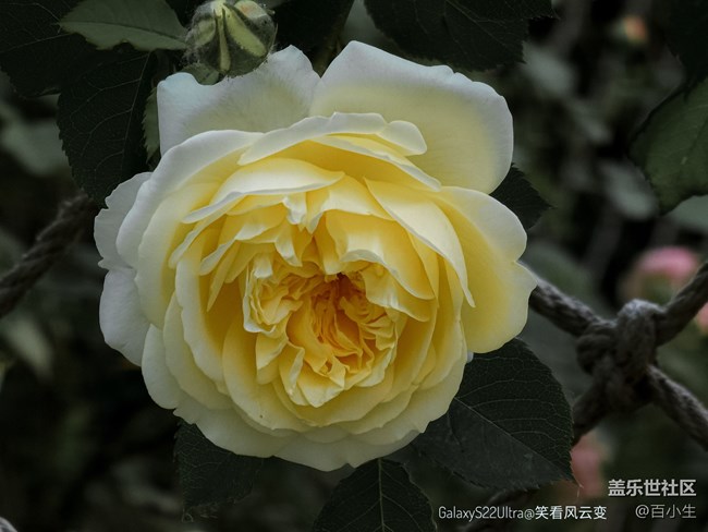 《精品大咖秀》 第八期: 三伏天來了 《精品大咖秀》 第八期: 三伏天來了