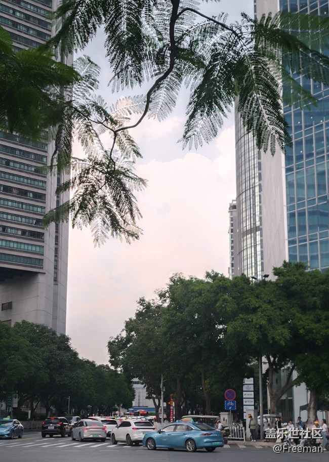 【火熱的夏天】弱化夏日