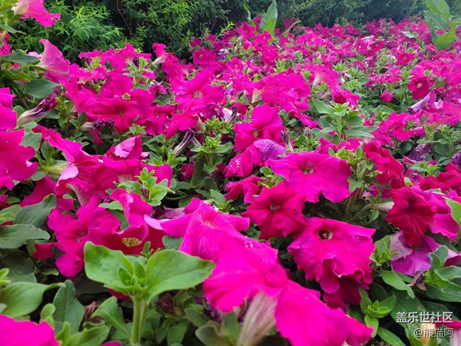 【夏日色彩】色彩艷麗