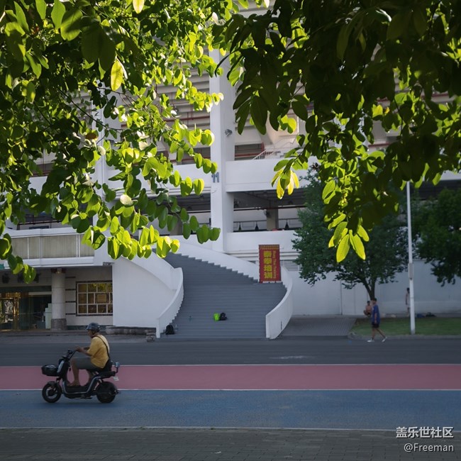 【陽光照耀的地方】斑駁且出片