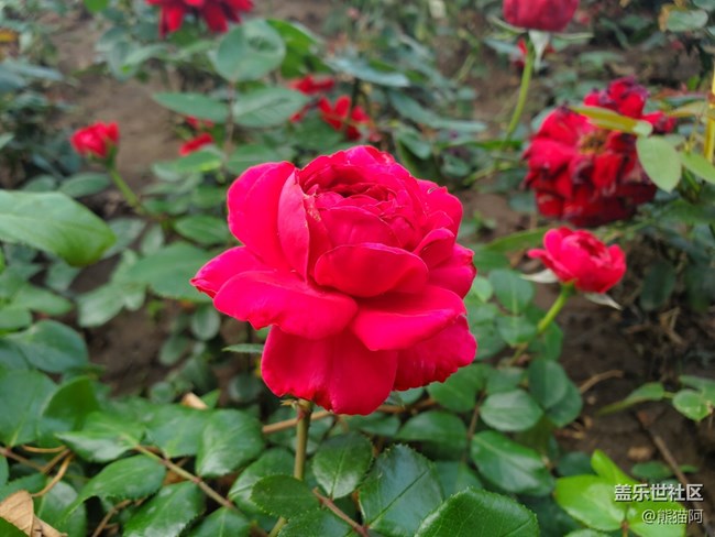 【夏日色彩】色彩艷麗