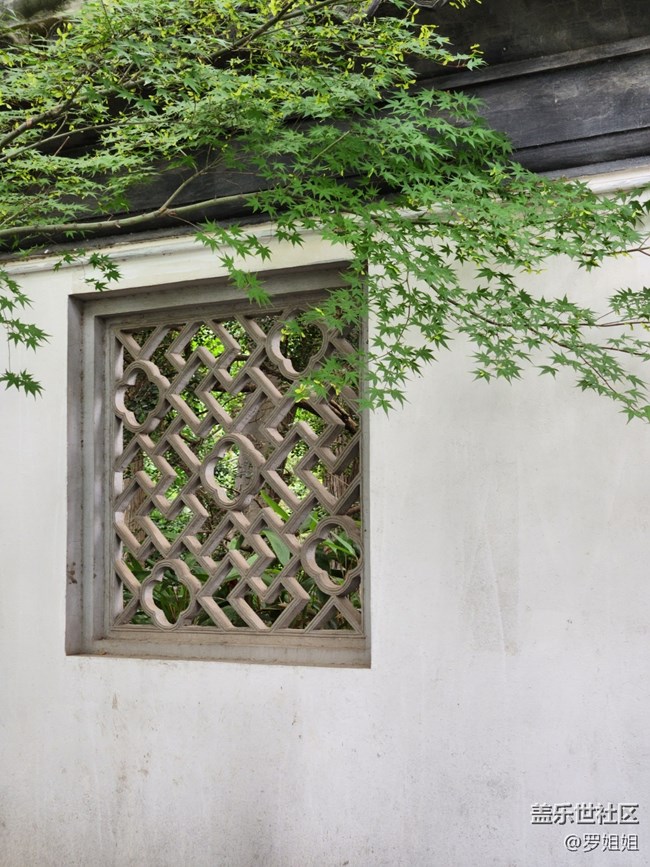 【匯龍?zhí)豆珗@攝影活動】+公園的小角落