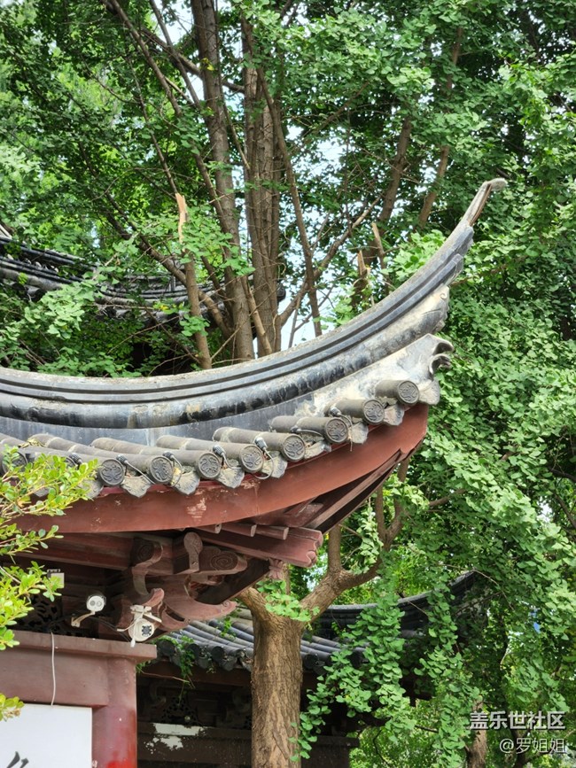 【匯龍?zhí)豆珗@攝影活動】+公園的小角落