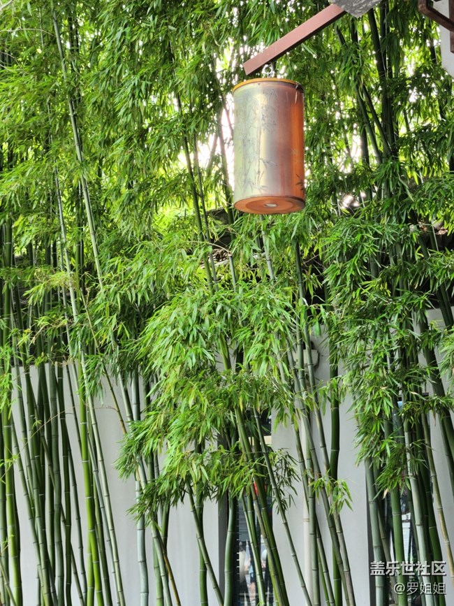 【匯龍?zhí)豆珗@攝影活動】+公園的小角落