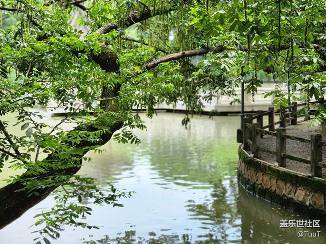 【匯龍?zhí)豆珗@攝影活動】+公園小景