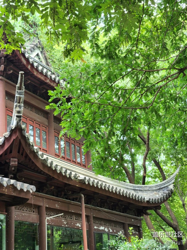 【匯龍?zhí)豆珗@攝影活動】+公園小景