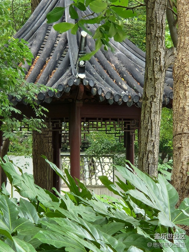 【匯龍?zhí)豆珗@攝影活動(dòng)】+亭子與竹子