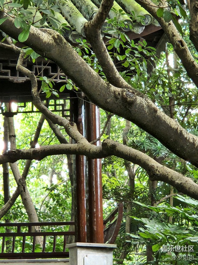 【匯龍?zhí)豆珗@攝影活動】+公園的小角落