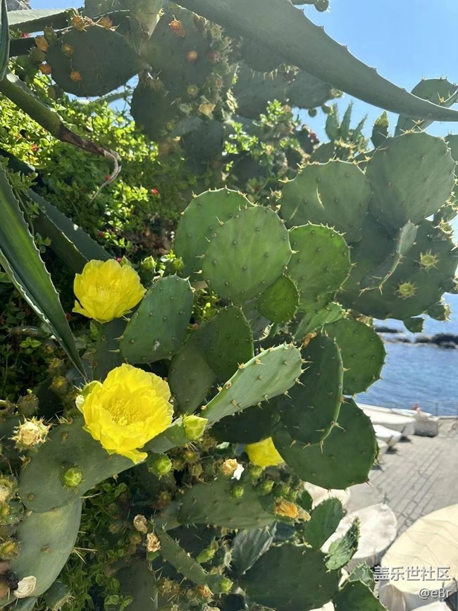 【火熱的夏天】泡海
