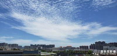 隨手拍