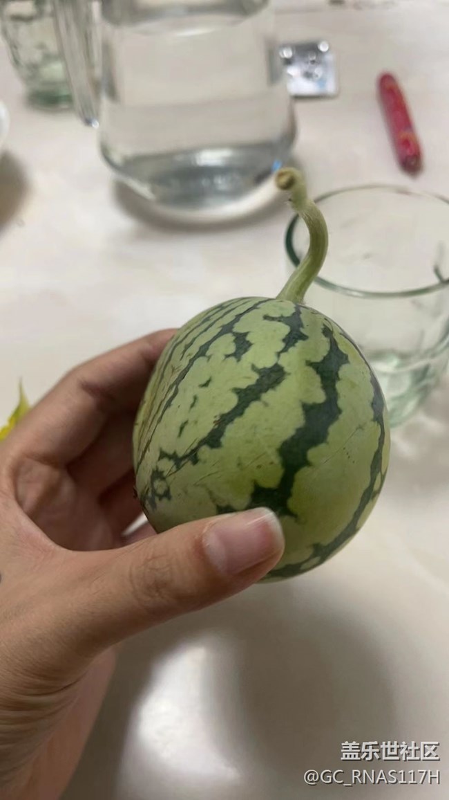 【記憶中的夏天】小西瓜