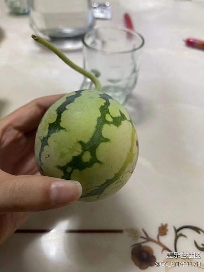 【記憶中的夏天】小西瓜