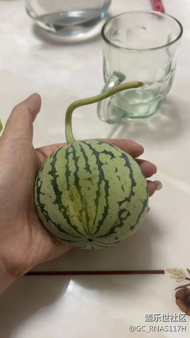 【記憶中的夏天】小西瓜