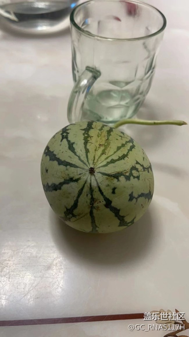 【記憶中的夏天】小西瓜