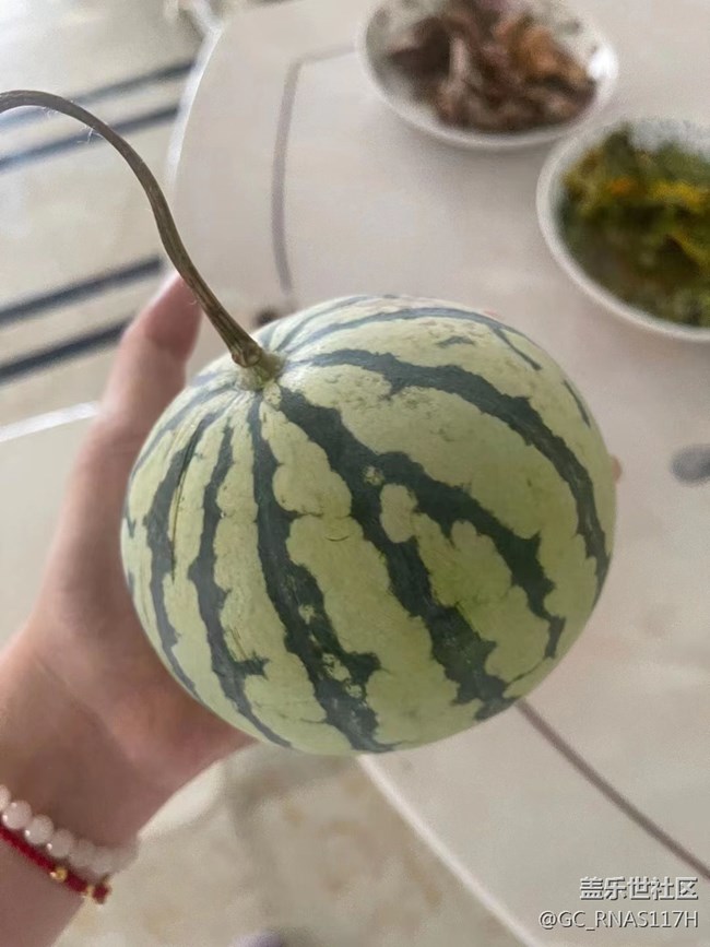 【記憶中的夏天】小西瓜