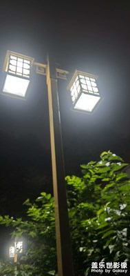 每日一圖