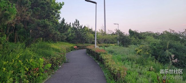 【火熱的夏天】-----清涼的植物