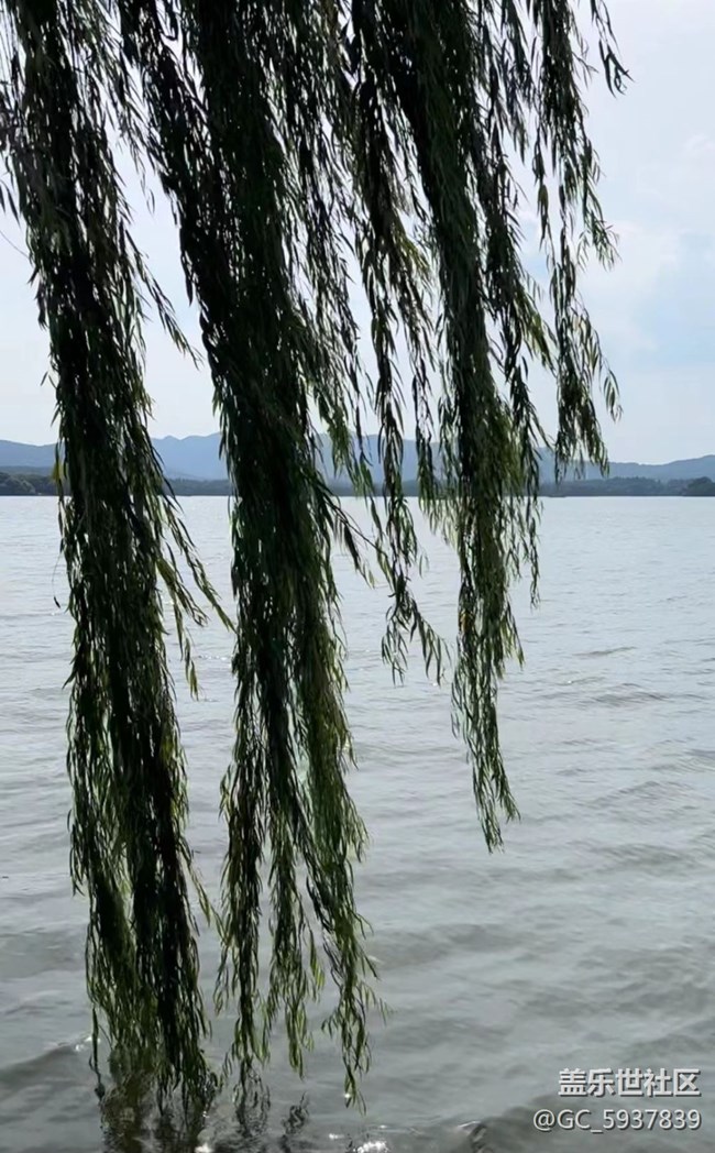 【夏日炎炎】外出游玩