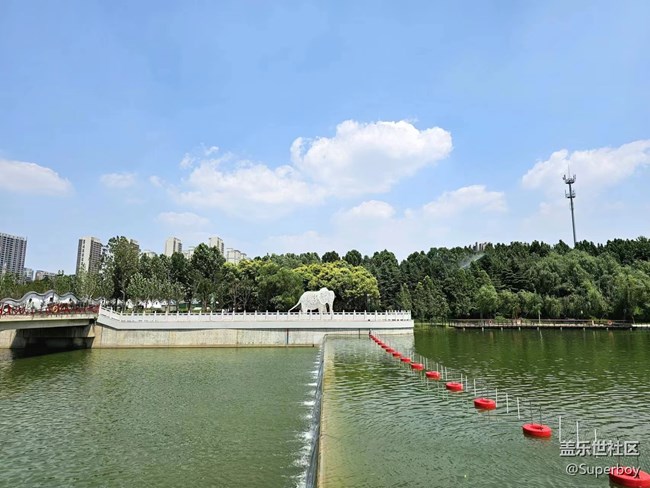 【記憶中的夏天】公園湖畔