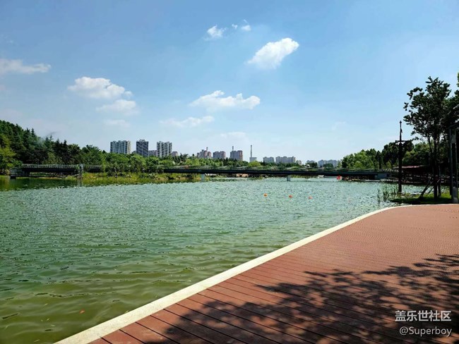 【記憶中的夏天】公園湖畔