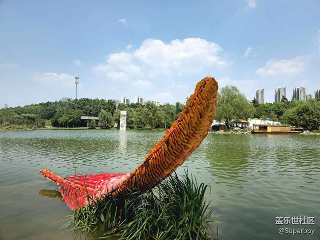 【記憶中的夏天】公園湖畔