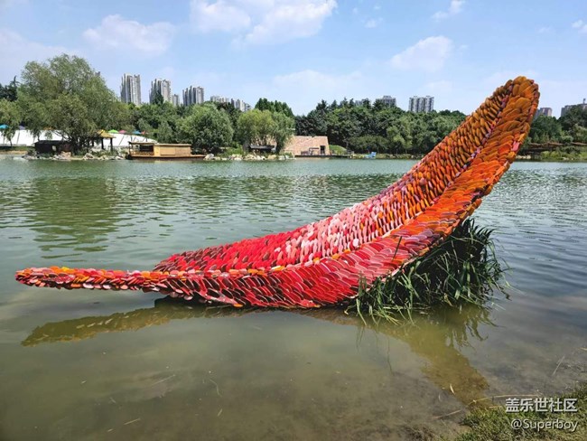 【記憶中的夏天】公園湖畔