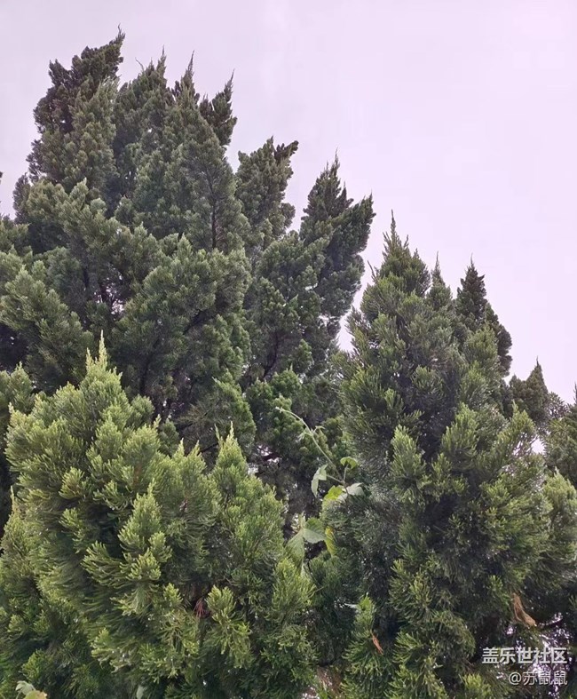 【火熱的夏天】涼快