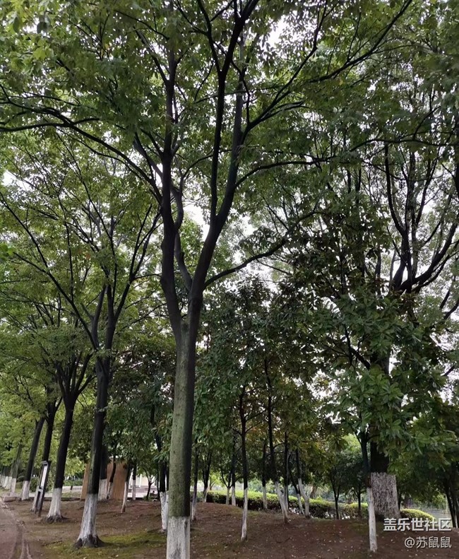 【火熱的夏天】涼快