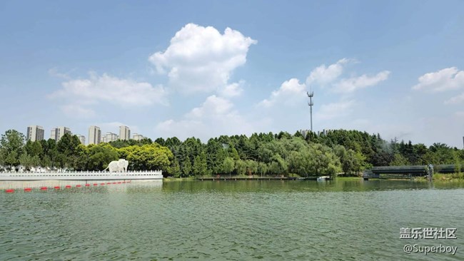 【記憶中的夏天】公園湖畔