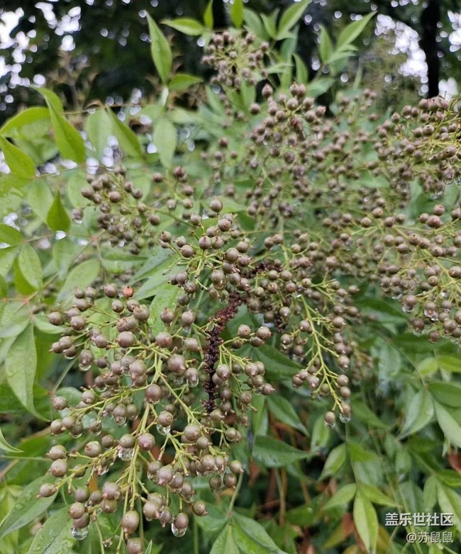 【火熱的夏天】涼快