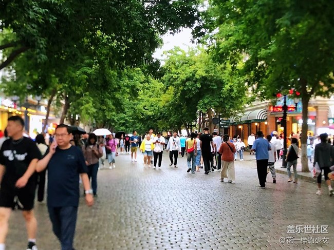 【陽光照耀的地方】中央大街