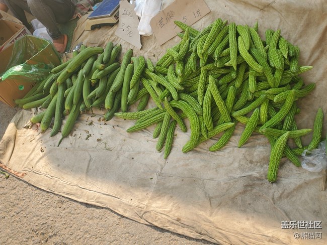 【陽光照耀的地方】陽光下的早市