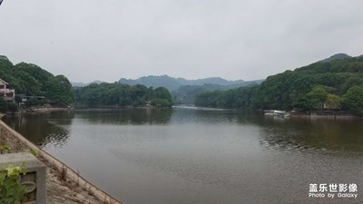 每日一貼