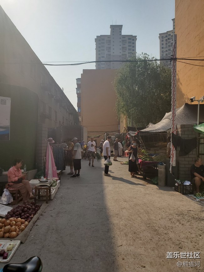 【陽光照耀的地方】陽光下的早市