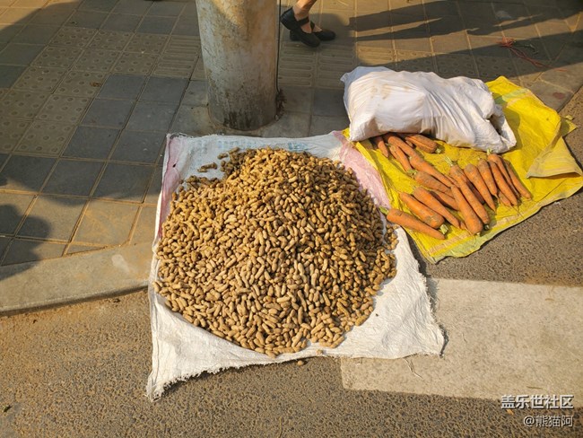 【陽光照耀的地方】陽光下的早市