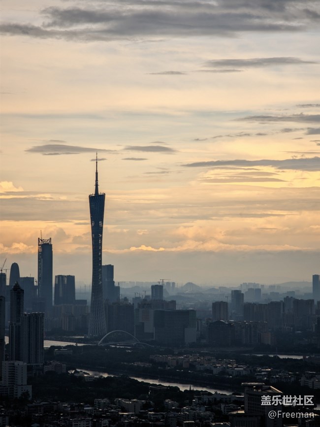 【火熱的夏天】曬熟的大樹 | 絢爛的夕陽