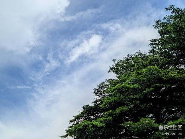 【夏日炎炎】望著藍天白云的一天