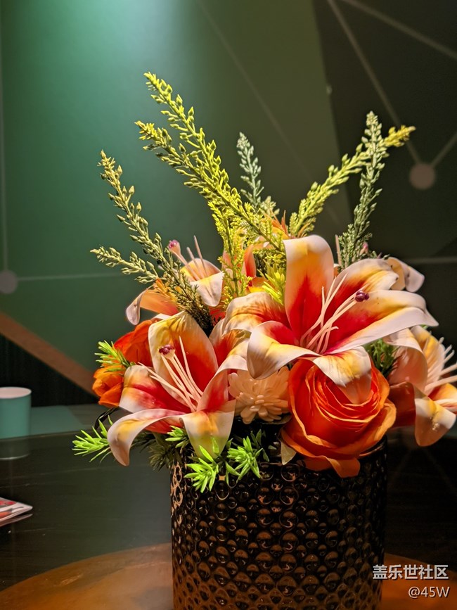 【記憶中的夏天】那些花兒