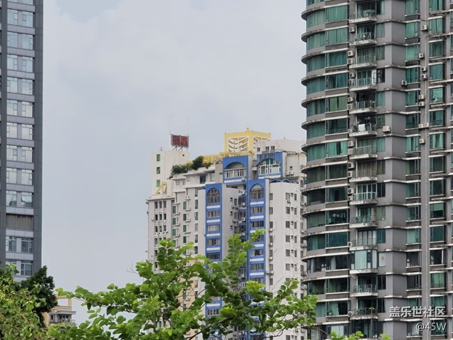 【長焦之美】媽媽再也不用給我買望遠(yuǎn)鏡了