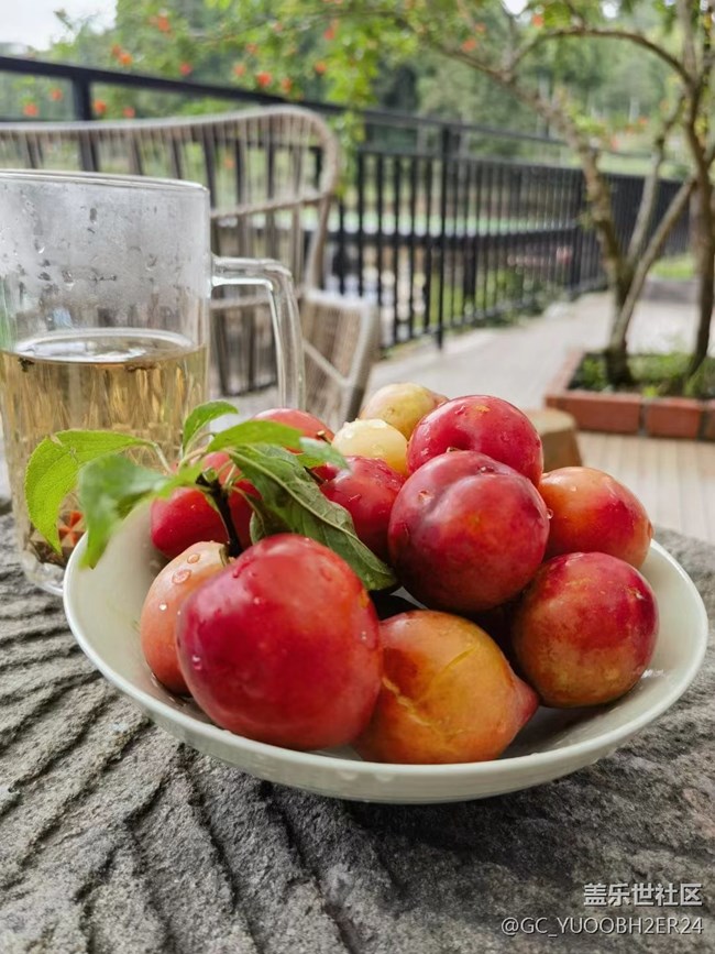 【記憶中的夏天】童年的回憶