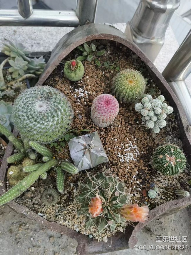 【記憶中的夏天】童年的回憶