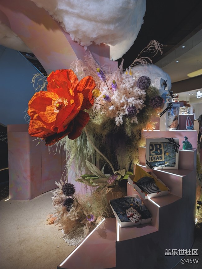 【記憶中的夏天】那些花兒