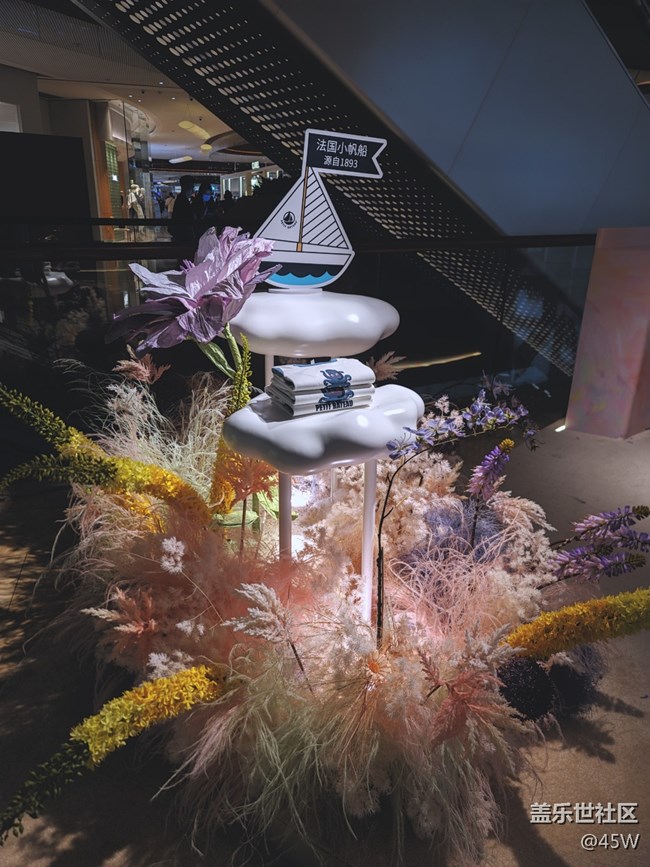 【記憶中的夏天】那些花兒