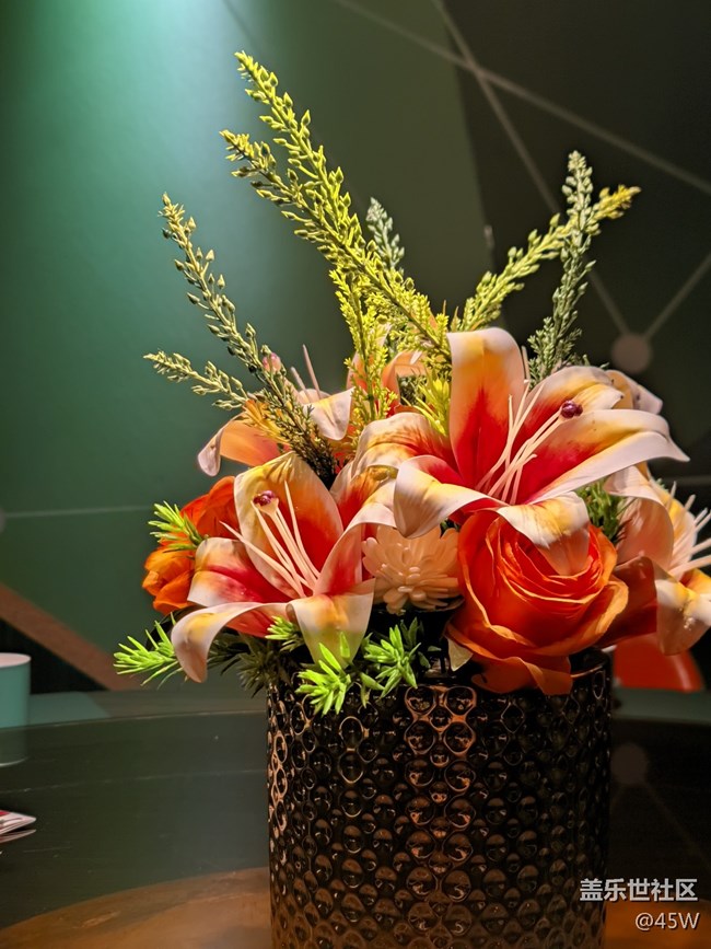 【記憶中的夏天】那些花兒